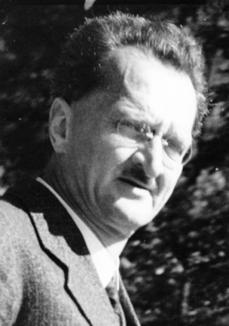 Picture of Władysław Ślebodziński