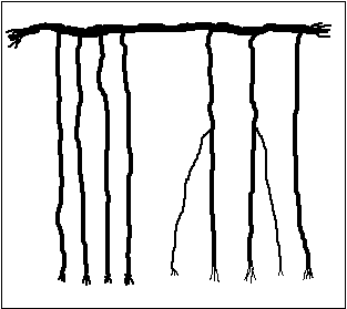 quipu 2